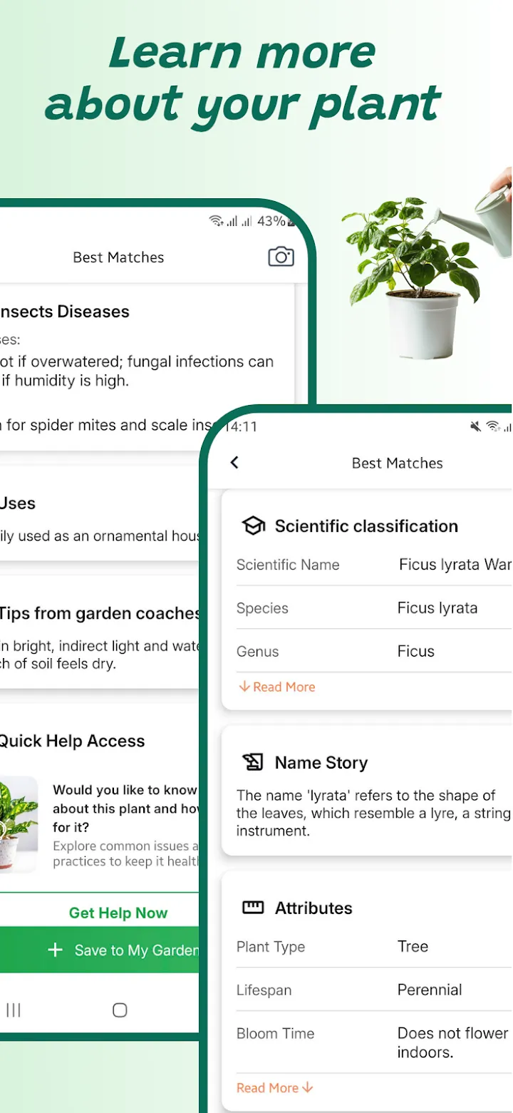 Name any plant in seconds — Plant Identifier screenshot