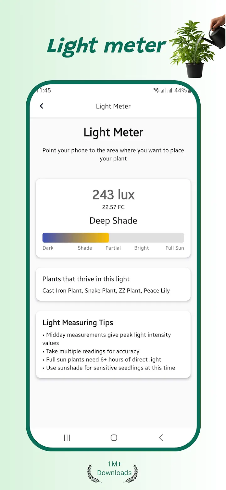 The right light, the right pot — Plant Identifier screenshot